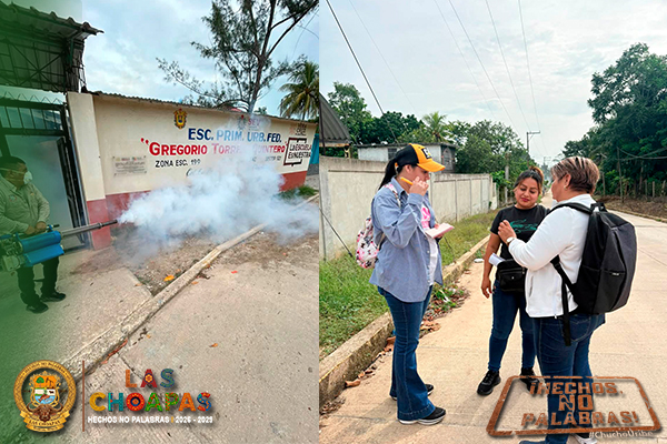 fotopequeño-Recuperado.DENGUE30.jpg.jpeg