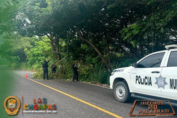 SEGURIDAD