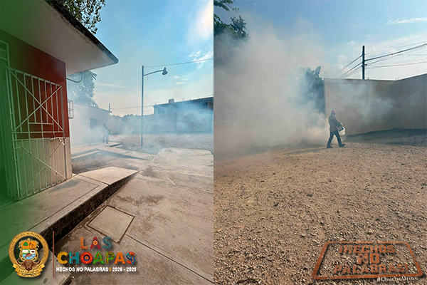fotopequeñodengue2.jpg.jpeg