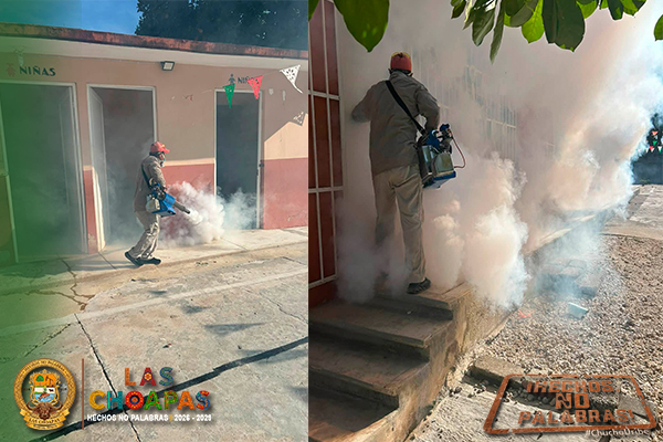 fotopequeñofumigando.jpg.jpeg