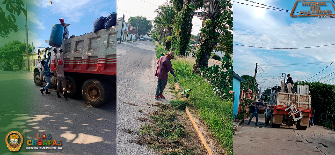 CUANDO LAS CHOAPAS DESPIERTA, ELLOS YA LLEVAN HORAS TRABAJANDO