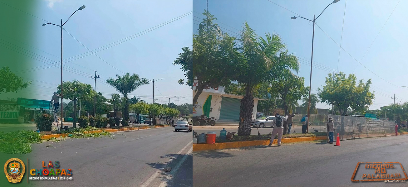 REGIDURÍA SEXTA | ORNATO, PARQUES Y JARDINES