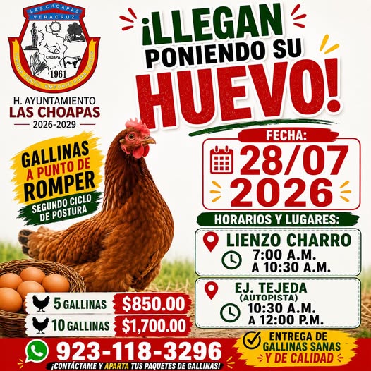 ¡Llegan poniendo su huevo!