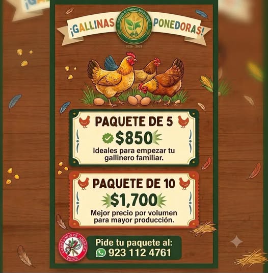  ¡SEGUNDA ETAPA DEL PROGRAMA DE GALLINAS PONEDORAS!