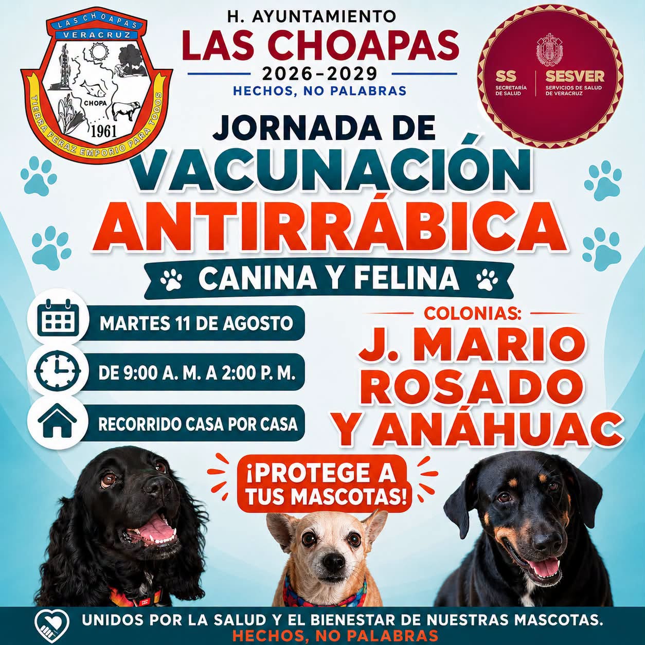 SALUD MUNICIPAL | CONTINÚA LA JORNADA DE VACUNACIÓN ANTIRRÁBICA
